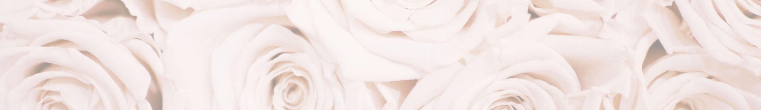Photo of White Roses Background