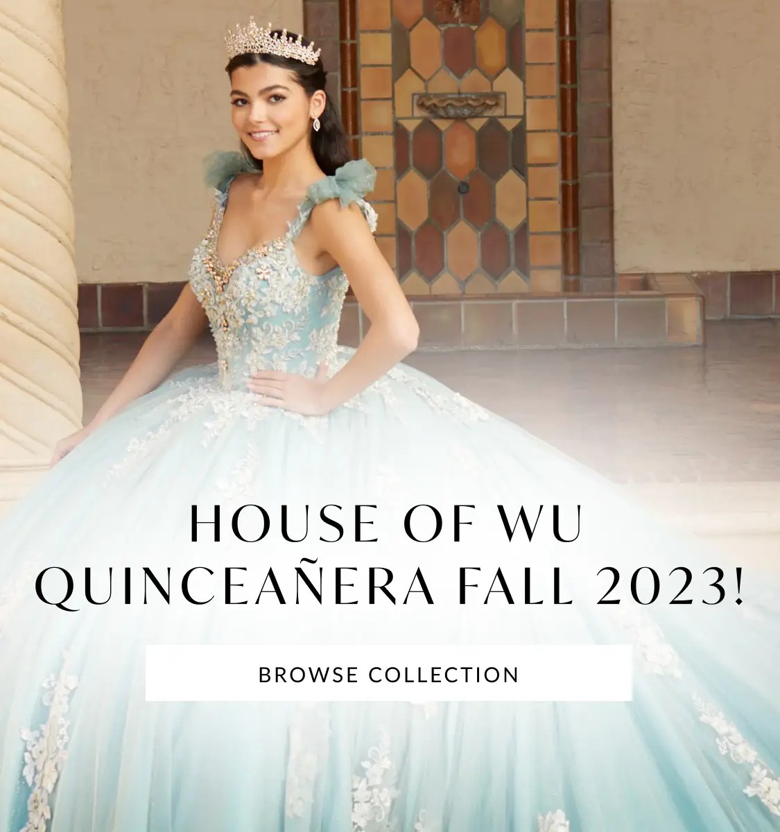 Quinceanera Banner Mobile